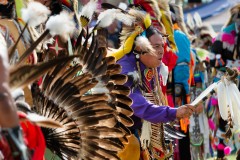 Pow Wow Dancer